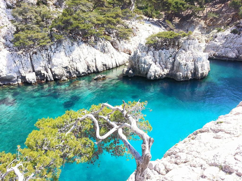 La Palmeraie Marseille Bagian luar foto