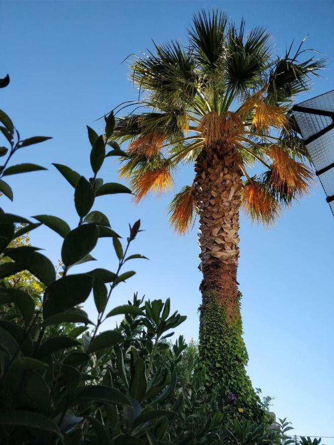 La Palmeraie Marseille Bagian luar foto